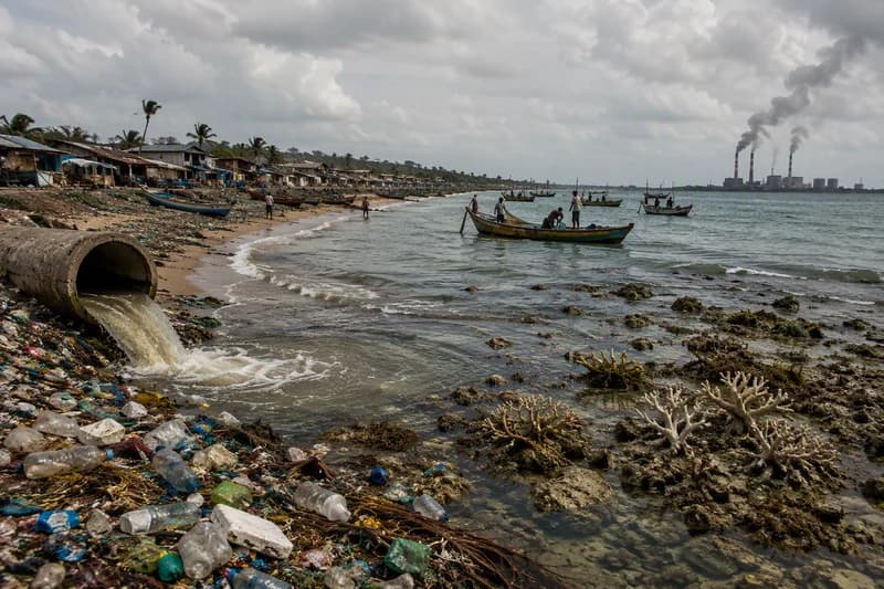 University of Ghana Scientist Warns of Rising Threats to National Marine Ecosystems