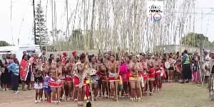 King Misuzulu kaZwelithini Welcomes Thousands of Maidens for Annual Zulu Reed Dance in Ingwavuma