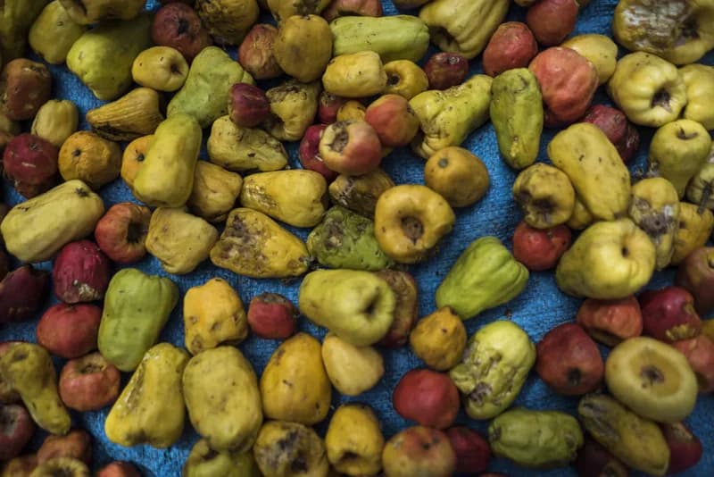 Agriculture Minister Eric Opoku Outlines Vision for Cashew-Led Economic Transformation in Africa