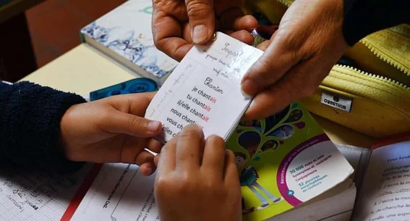 Educational Shifts in Africa: LSE Deepens Ghana Partnerships as Algeria Pivots to English-First Curriculum