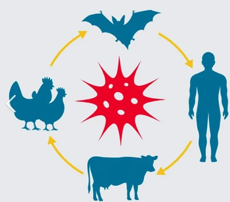Zoonotic diseases