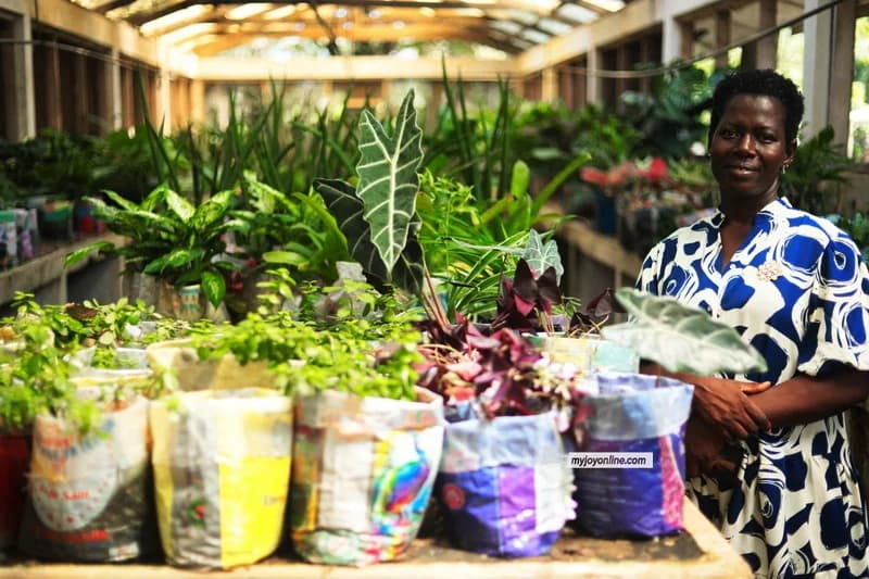 Industry Stakeholders Urge Structural Reforms in Creative Arts and Floriculture to Boost Ghana’s Economy