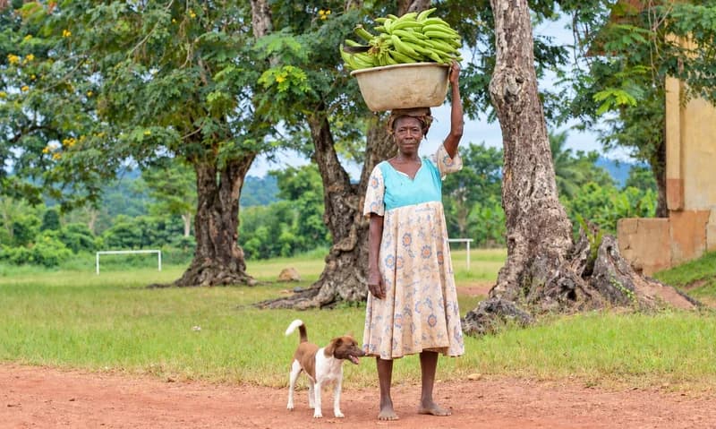 Maame Akosua Konadu: Highlighting the systemic struggles of rural women in Ghana’s agricultural sector