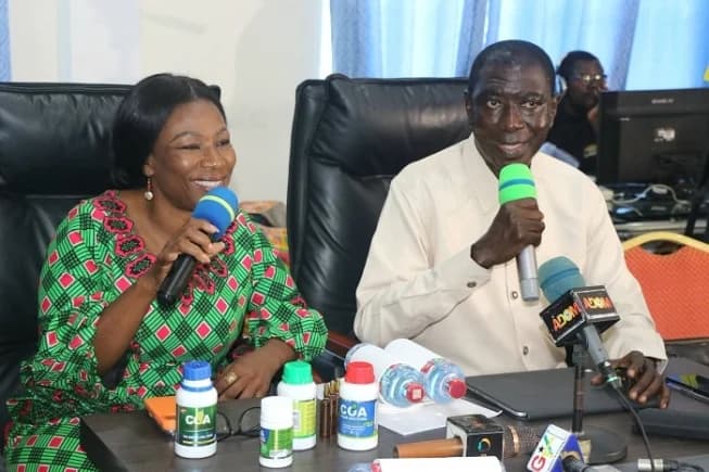 Gov't committed to integrating traditional medicine into healthcare – Deputy Health Minister
