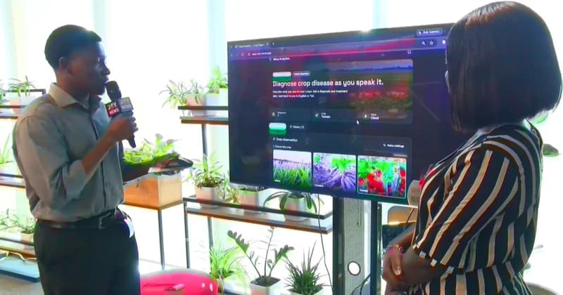 Researcher Nana Benyin Essel-Biney Launches Ndua Analytics AI to Help Ghanaian Farmers Combat Crop Threats
