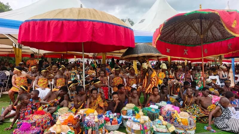 Asogli State Praises President Mahama’s Development Focus at 2026 Yam Festival Grand Durbar