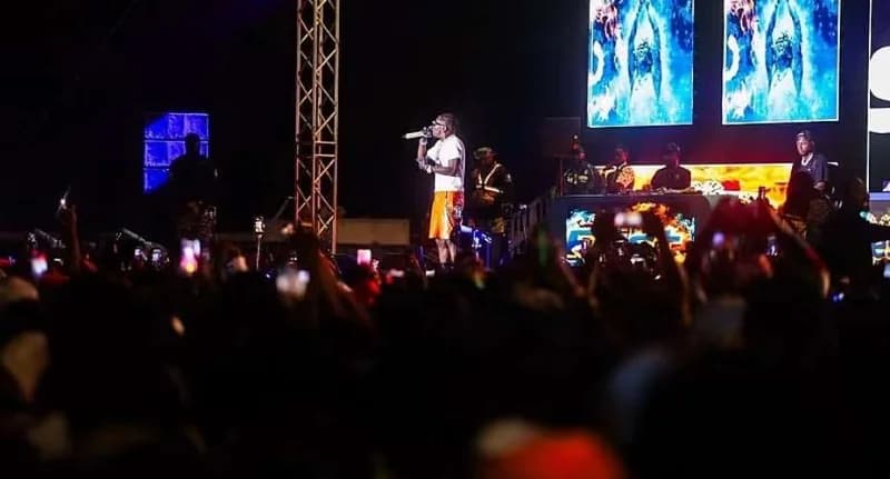 Ghanaian Music Industry Celebrates Unity at MoMoFest and Global Recognition via Chelsea FC Anthem