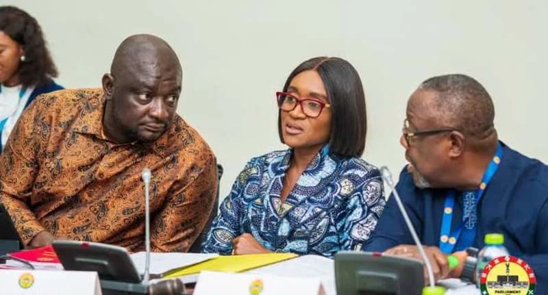 Mockshell Esinam Sunu summoned by PAC over GH‵341,229 salary