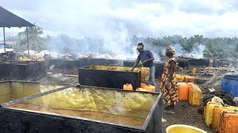 OPDAG reports 150,000-tonne annual crude palm oil supply gap
