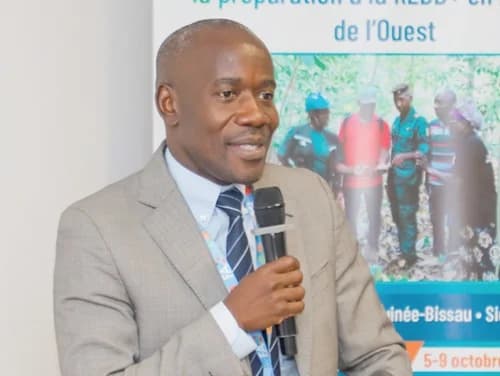 Timothy Awotiirim, Deputy CEO of Forestry Commission, addressing the forum. Picture: ELVIS NII NOI DOWUONA