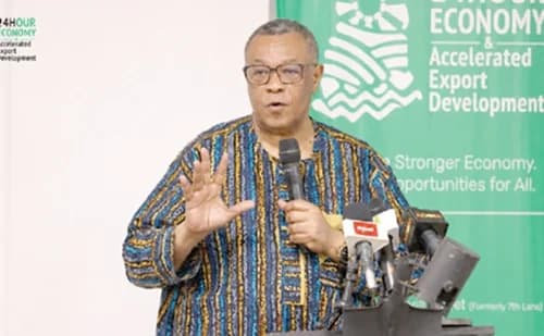 Goosie Tanoh, Presidential Adviser, 24-Hour Economy