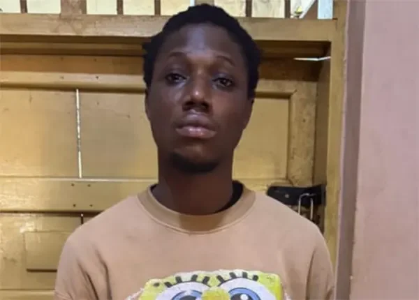 Bismark Adu sentenced to 10 years for destroying GH₵315,000 property