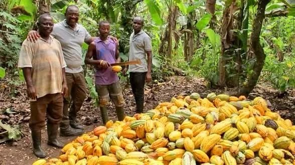 COCOBOD raises GH₵3.39bn through maiden commercial paper issuance