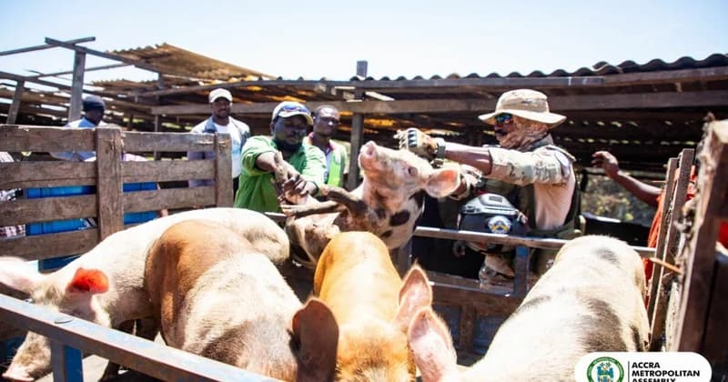 Michael Kpakpo Allotey leads demolition of unauthorized Agbogbloshie pigsty