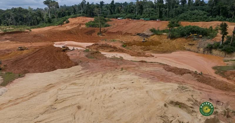 GoldBod commits GH‵35m to restore galamsey-damaged Tano Nimri Forest